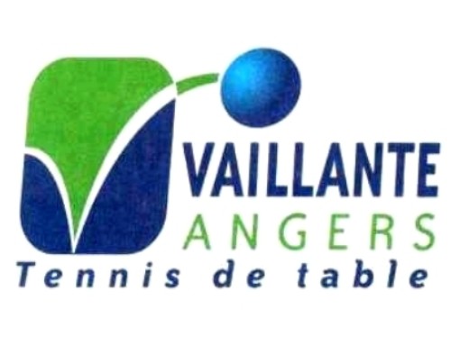 Ligue Nationale Contre Le most cancers Angers