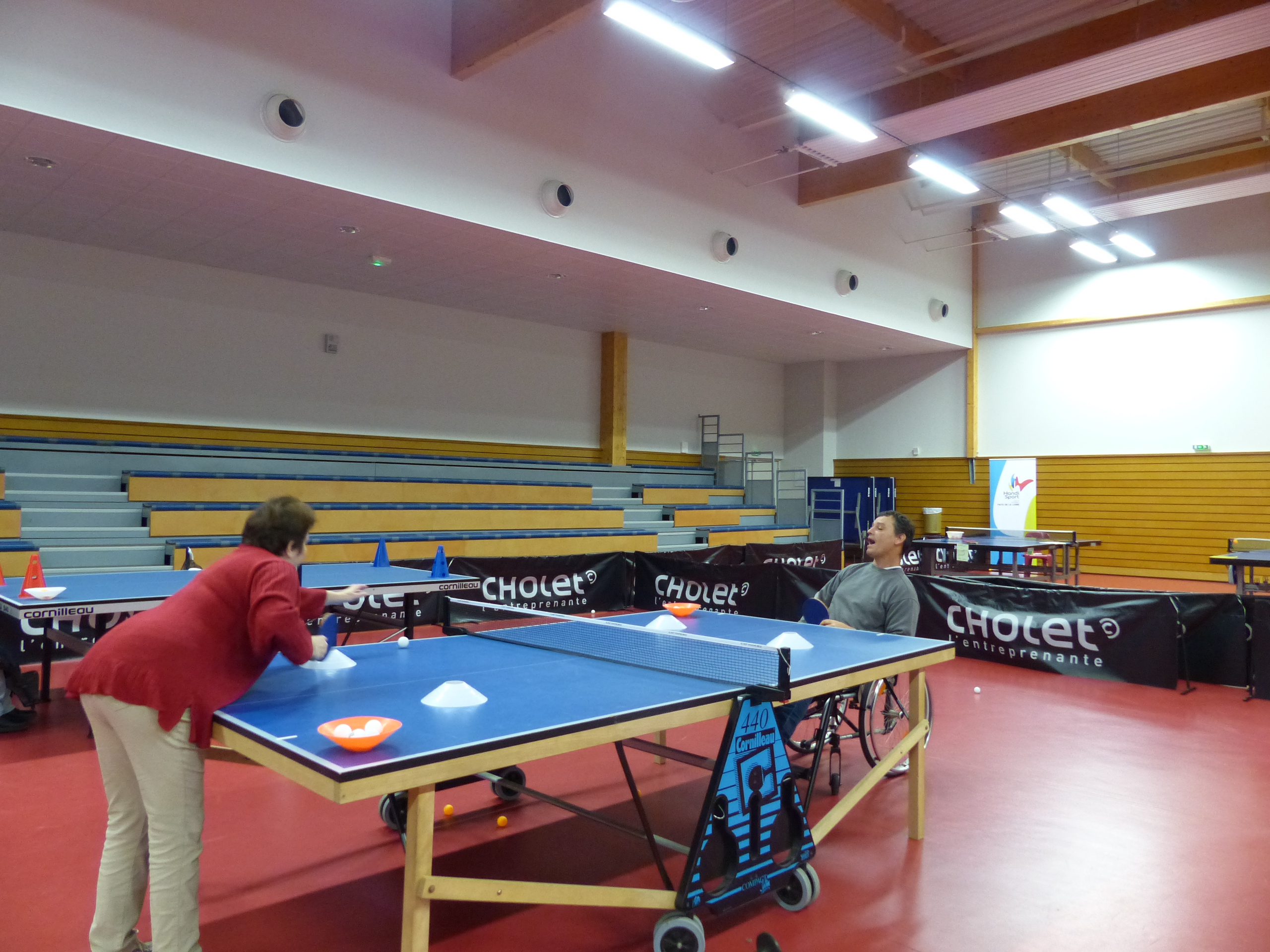 Ligue De Billard Des Pays De La Loire